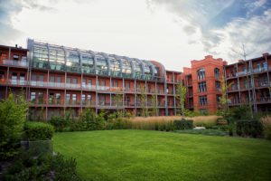 city park poznań, projekt zieleni, architektura krajobrazu, projetkowanie zieleni miejskiej, projekt ogrodu poznań, projektowanie ogrodów Poznań