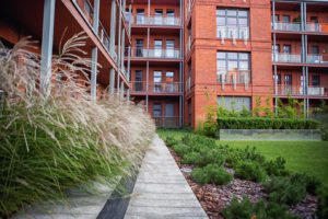 city park poznań, projekt zieleni, architektura krajobrazu, projetkowanie zieleni miejskiej, projekt ogrodu poznań, projektowanie ogrodów Poznań