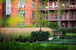 city park poznań, projekt zieleni, architektura krajobrazu, projetkowanie zieleni miejskiej, projekt ogrodu poznań, projektowanie ogrodów Poznań