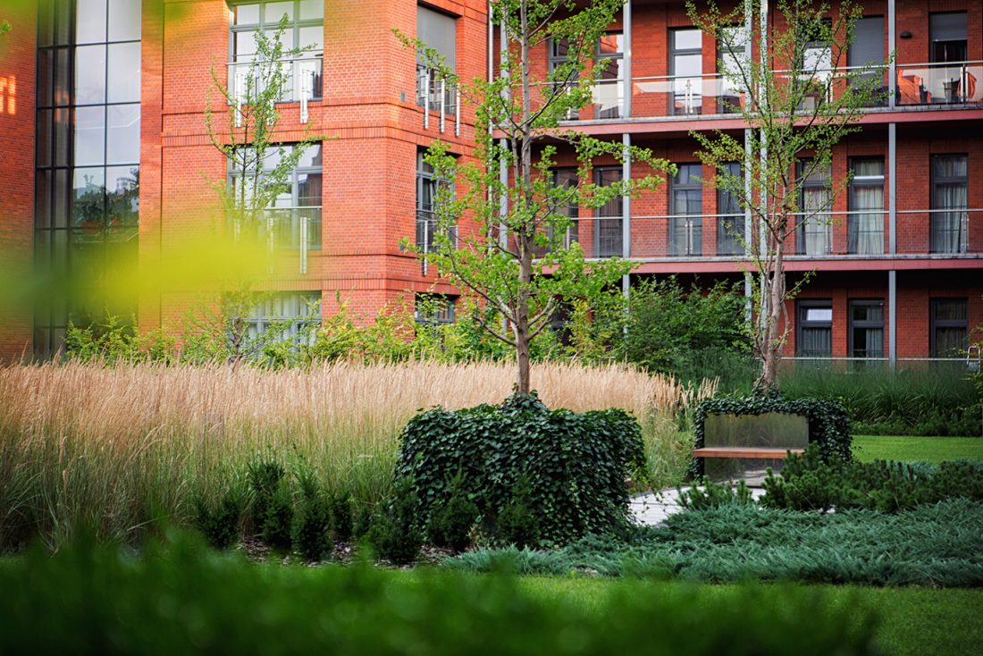 city park poznań, projekt zieleni, architektura krajobrazu, projetkowanie zieleni miejskiej, projekt ogrodu poznań, projektowanie ogrodów Poznań