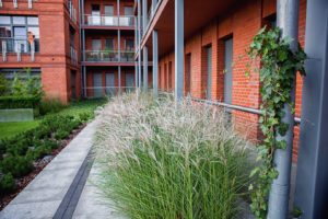 city park poznań, projekt zieleni, architektura krajobrazu, projetkowanie zieleni miejskiej, projekt ogrodu poznań, projektowanie ogrodów Poznań