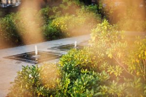 city park poznań, projekt zieleni, architektura krajobrazu, projetkowanie zieleni miejskiej, projekt ogrodu poznań, projektowanie ogrodów Poznań