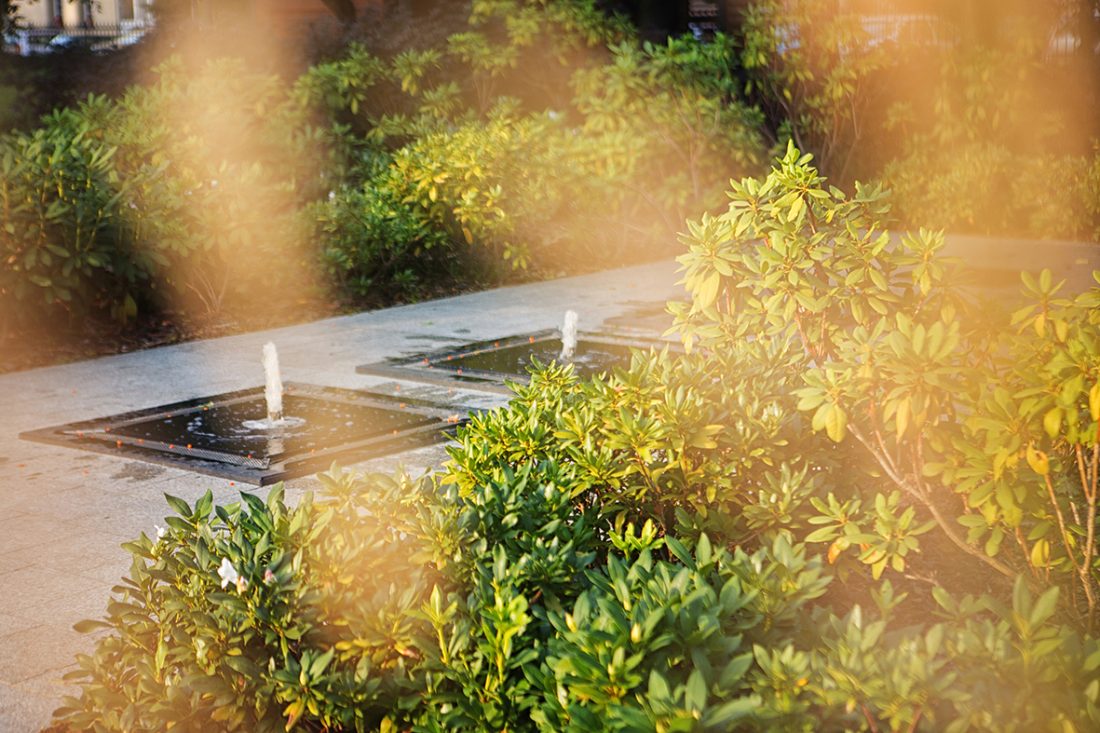 city park poznań, projekt zieleni, architektura krajobrazu, projetkowanie zieleni miejskiej, projekt ogrodu poznań, projektowanie ogrodów Poznań