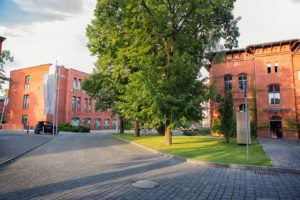 city park poznań, projekt zieleni, architektura krajobrazu, projetkowanie zieleni miejskiej, projekt ogrodu poznań, projektowanie ogrodów Poznań