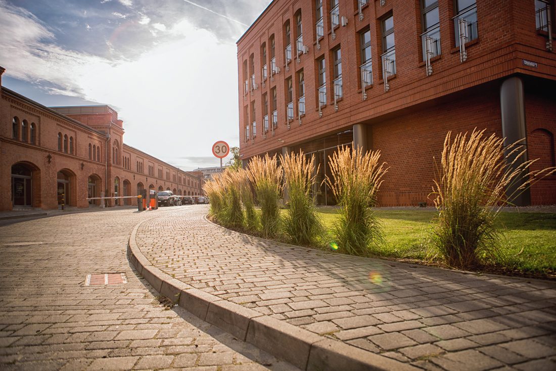 city park poznań, projekt zieleni, architektura krajobrazu, projetkowanie zieleni miejskiej, projekt ogrodu poznań, projektowanie ogrodów Poznań