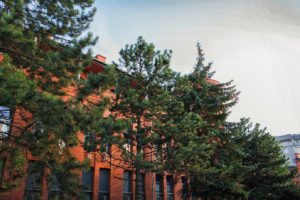 city park poznań - projekt zieleni- architektura krajobrazu - projektowanie zieleni- rockandflower studio rfstudio rock&flowerstudio (20)