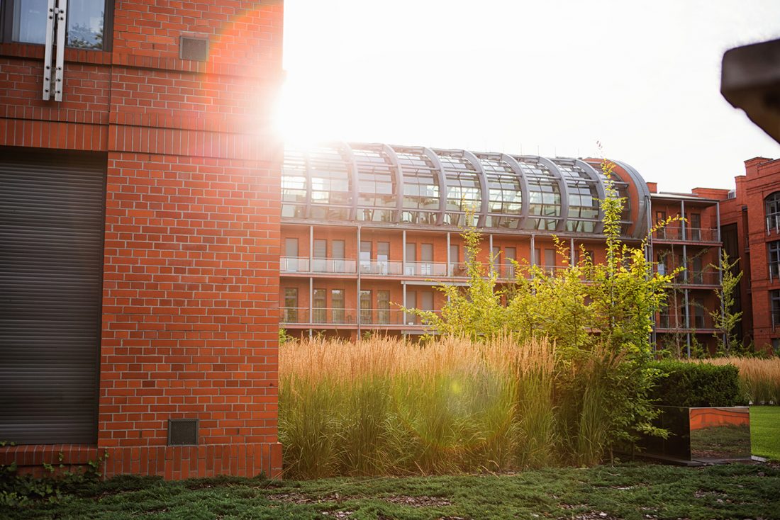 city park poznań, projekt zieleni, architektura krajobrazu, projetkowanie zieleni miejskiej, projekt ogrodu poznań, projektowanie ogrodów Poznań