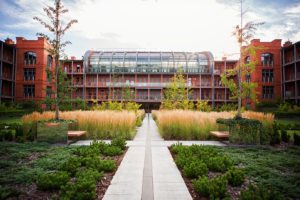 city park poznań, projekt zieleni, architektura krajobrazu, projetkowanie zieleni miejskiej, projekt ogrodu poznań, projektowanie ogrodów Poznań