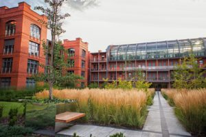 city park poznań - projekt zieleni- architektura krajobrazu - projektowanie zieleni- rockandflower studio rfstudio rock&flowerstudio (7)