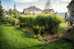 nowoczesny ogrod poznań, projekt ogrodu Poznań, minimalistyczny ogród, beton w ogrodzie, ogrody rockandflower studio projektowanie ogrodów poznań, architektura krajobrazu poznań