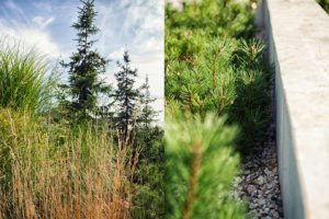 nowoczesny ogrod poznań, projekt ogrodu Poznań, minimalistyczny ogród, beton w ogrodzie, ogrody rockandflower studio projektowanie ogrodów poznań, architektura krajobrazu poznań