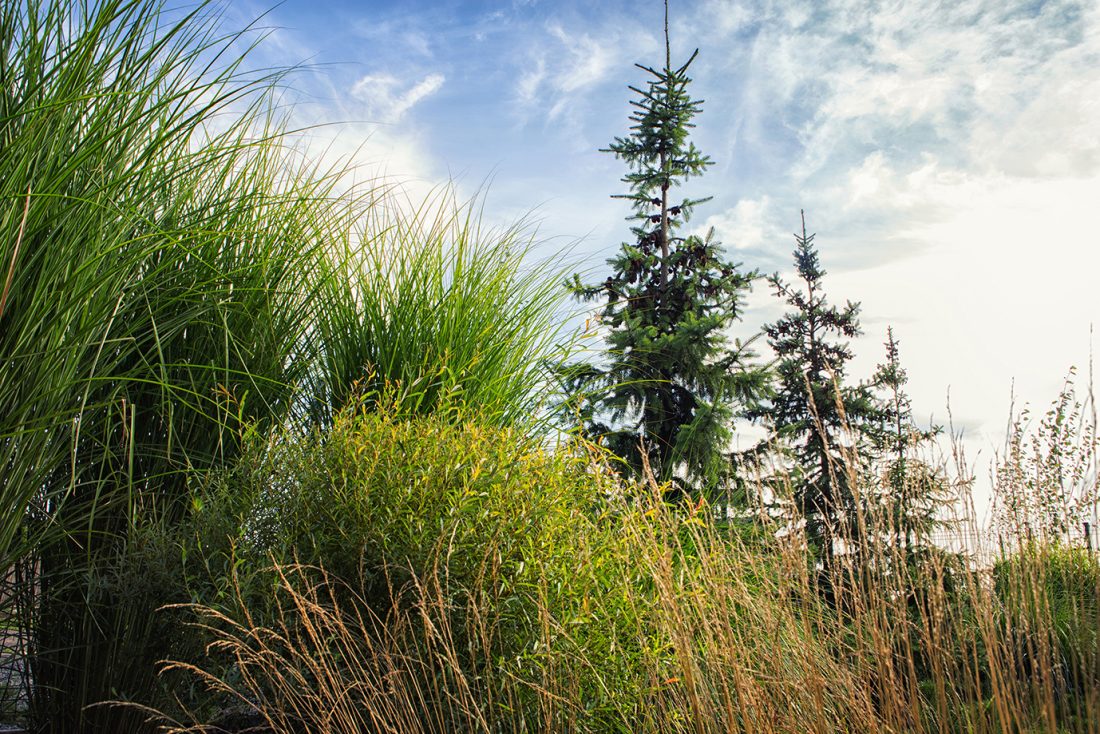 nowoczesny ogrod poznań, projekt ogrodu Poznań, minimalistyczny ogród, beton w ogrodzie, ogrody rockandflower studio projektowanie ogrodów poznań, architektura krajobrazu poznań