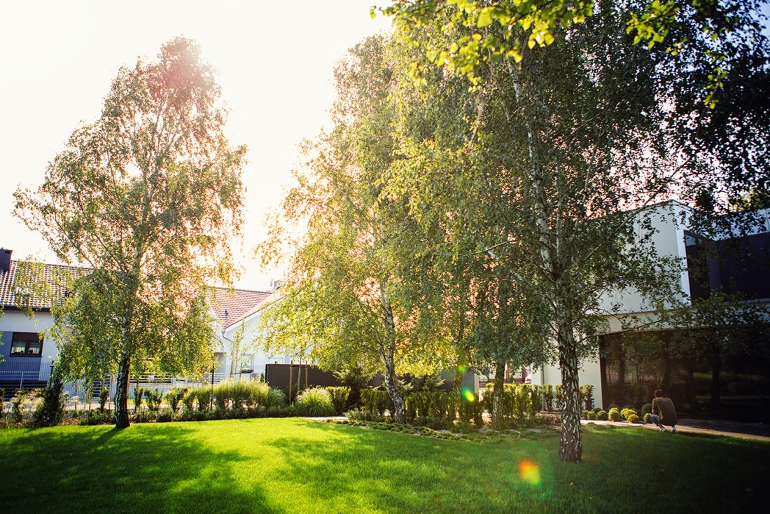 nowoczesny ogrod poznań, projekt ogrodu Poznań, minimalistyczny ogród, beton w ogrodzie, ogrody rockandflower studio projektowanie ogrodów poznań, architektura krajobrazu poznań