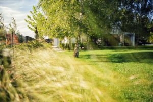 nowoczesny ogrod poznań, projekt ogrodu Poznań, minimalistyczny ogród, beton w ogrodzie, ogrody rockandflower studio projektowanie ogrodów poznań, architektura krajobrazu poznań