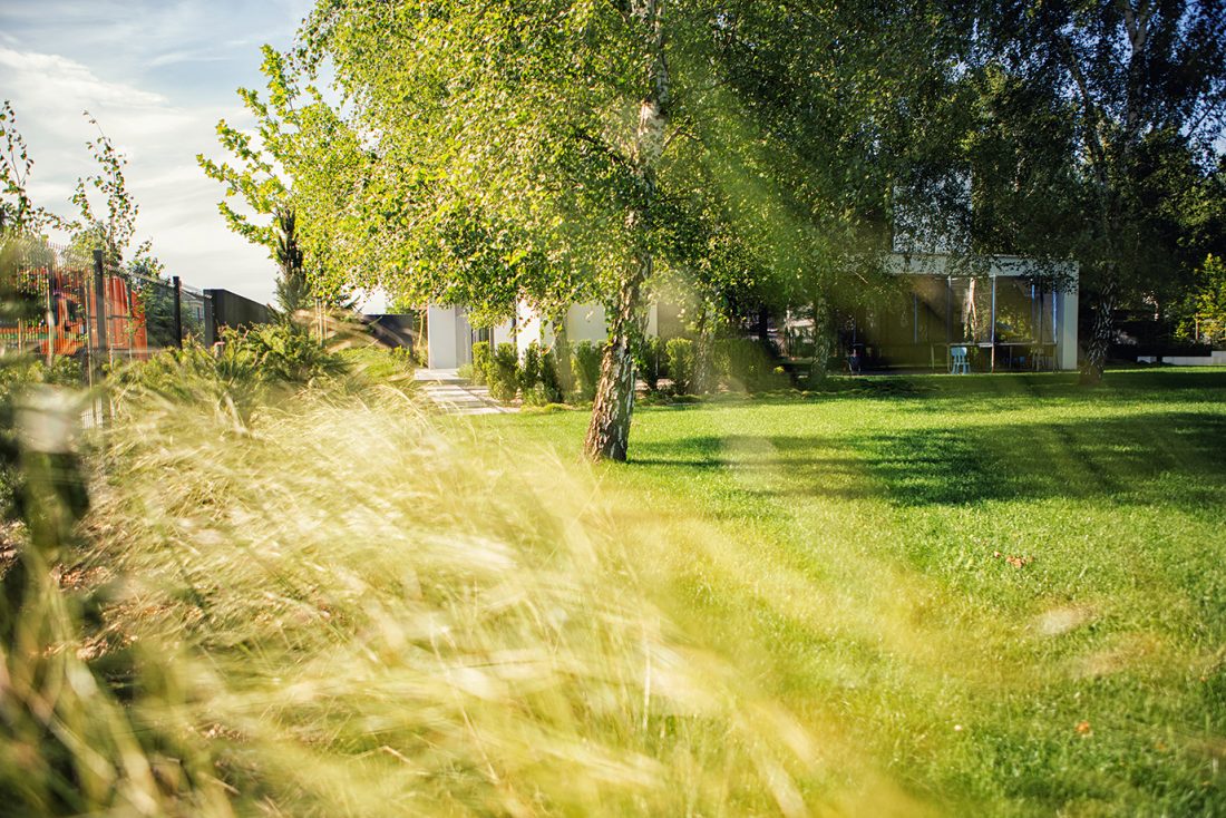 nowoczesny ogrod poznań, projekt ogrodu Poznań, minimalistyczny ogród, beton w ogrodzie, ogrody rockandflower studio projektowanie ogrodów poznań, architektura krajobrazu poznań