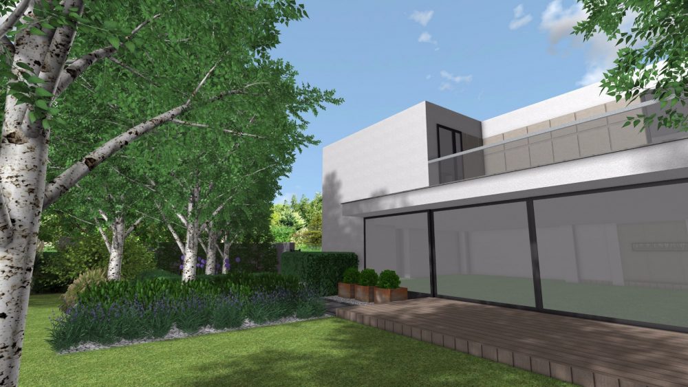 ogród nowoczesny, projekt nowoczesnego ogrodu , brzozy w ogrodzie