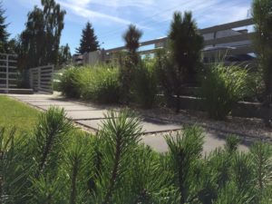 projekt ogrodu z elementem wodnym poznań rockandflowerstudio-rfstudio, poznan-projektowanie-ogrodów-architektura-krajobrazu