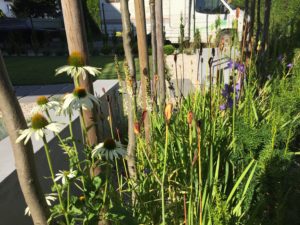 nowoczesny ogród Poznań, projekt ogrodu Poznań, projektowanie ogrodów Poznań