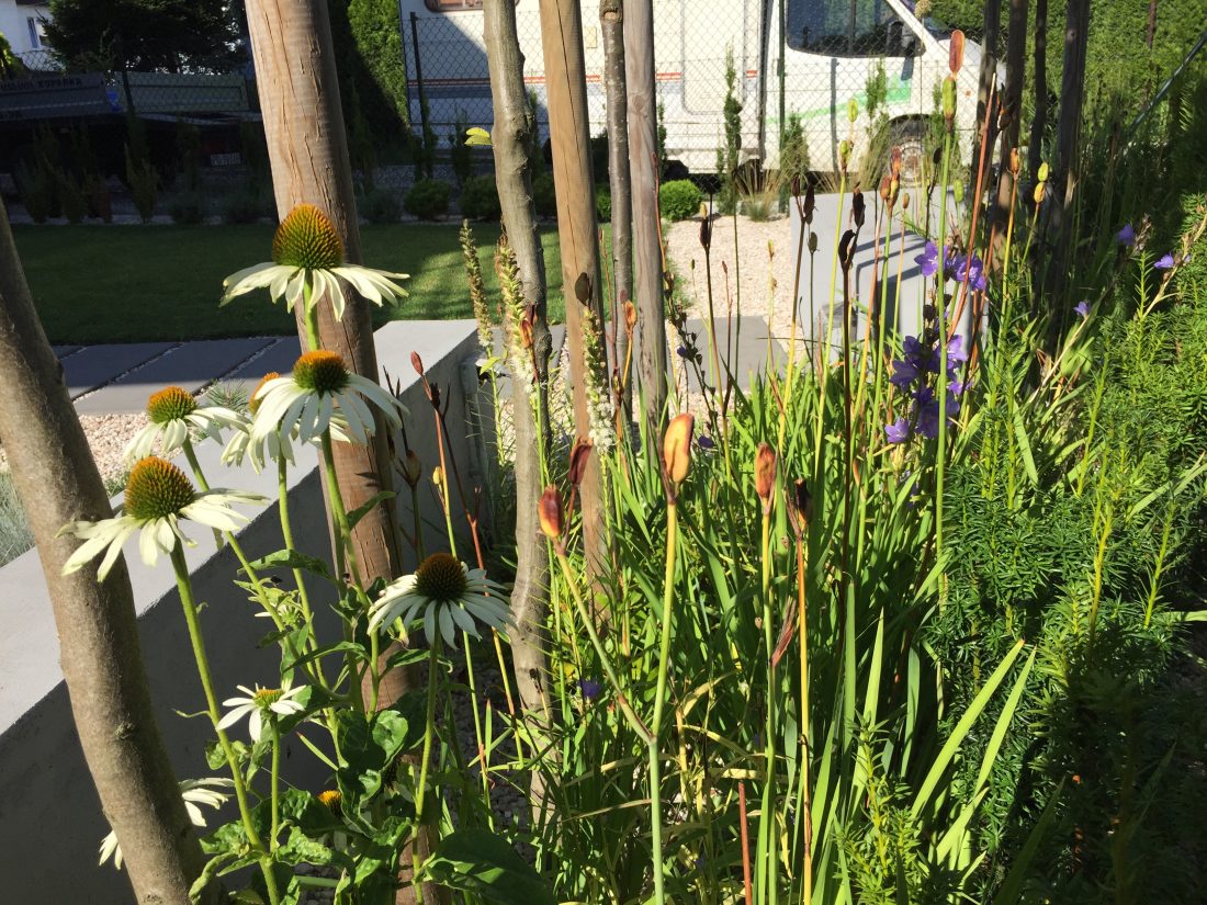 nowoczesny ogród Poznań, projekt ogrodu Poznań, projektowanie ogrodów Poznań