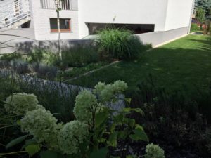 nowoczesny ogród Poznań, projekt ogrodu Poznań, projektowanie ogrodów Poznań