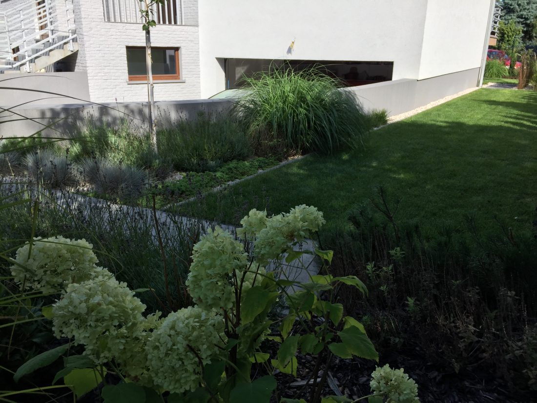 nowoczesny ogród Poznań, projekt ogrodu Poznań, projektowanie ogrodów Poznań