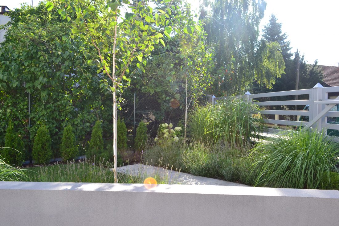 nowoczesny ogród Poznań, projekt ogrodu Poznań, projektowanie ogrodów Poznań