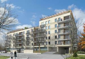 projekt zieleni - patio wewnątrz budynku - zagospdarowanie terenu zieleni publicznej