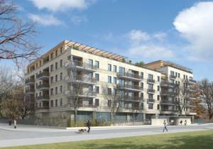 projekt zieleni - patio wewnątrz budynku - zagospdarowanie terenu zieleni publicznej