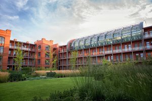 projekt zieleni miejskiej, rozckandflower studio, projekt zieleni, projekt ogrodu, pracownia architektury krajobrazu poznań, city park poznań