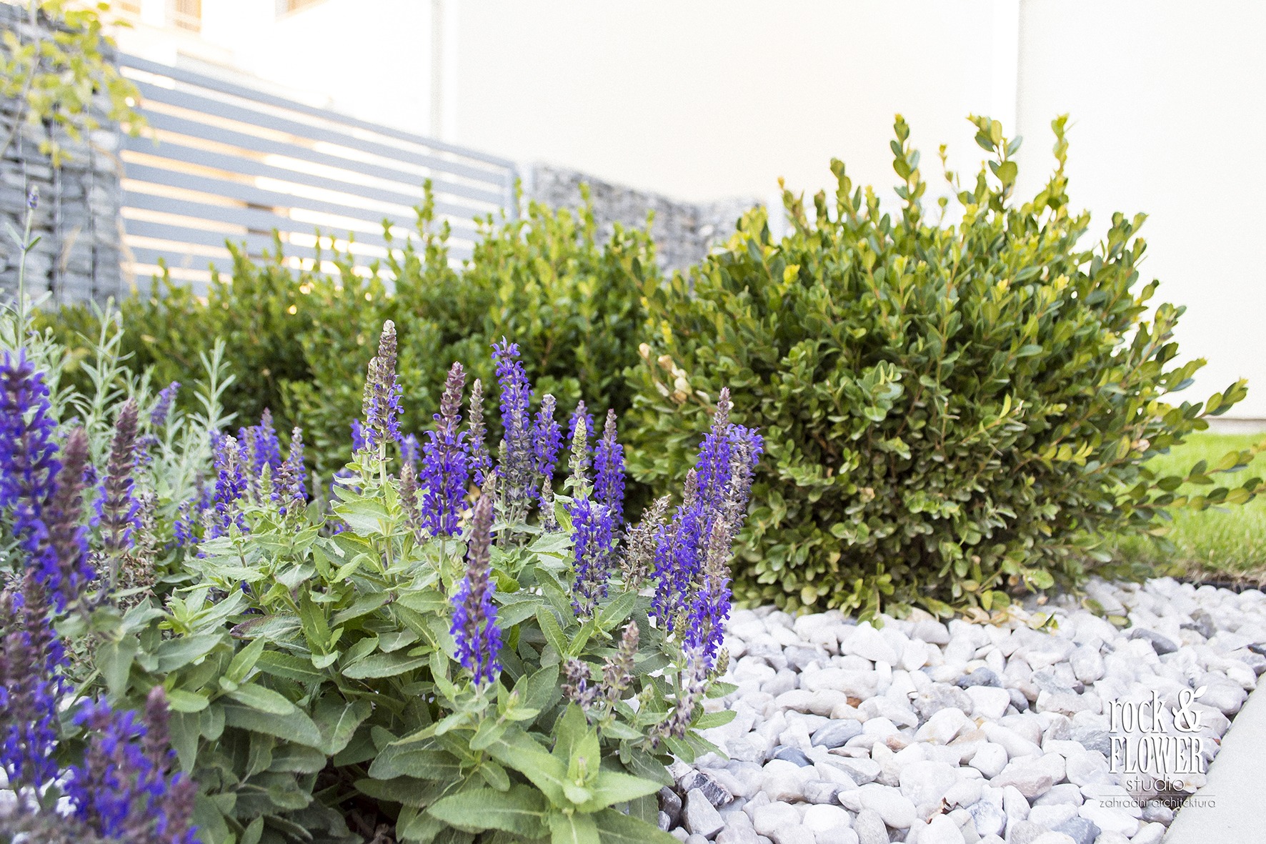 Architekt krajobrazu Poznań - projektownie ogrodów