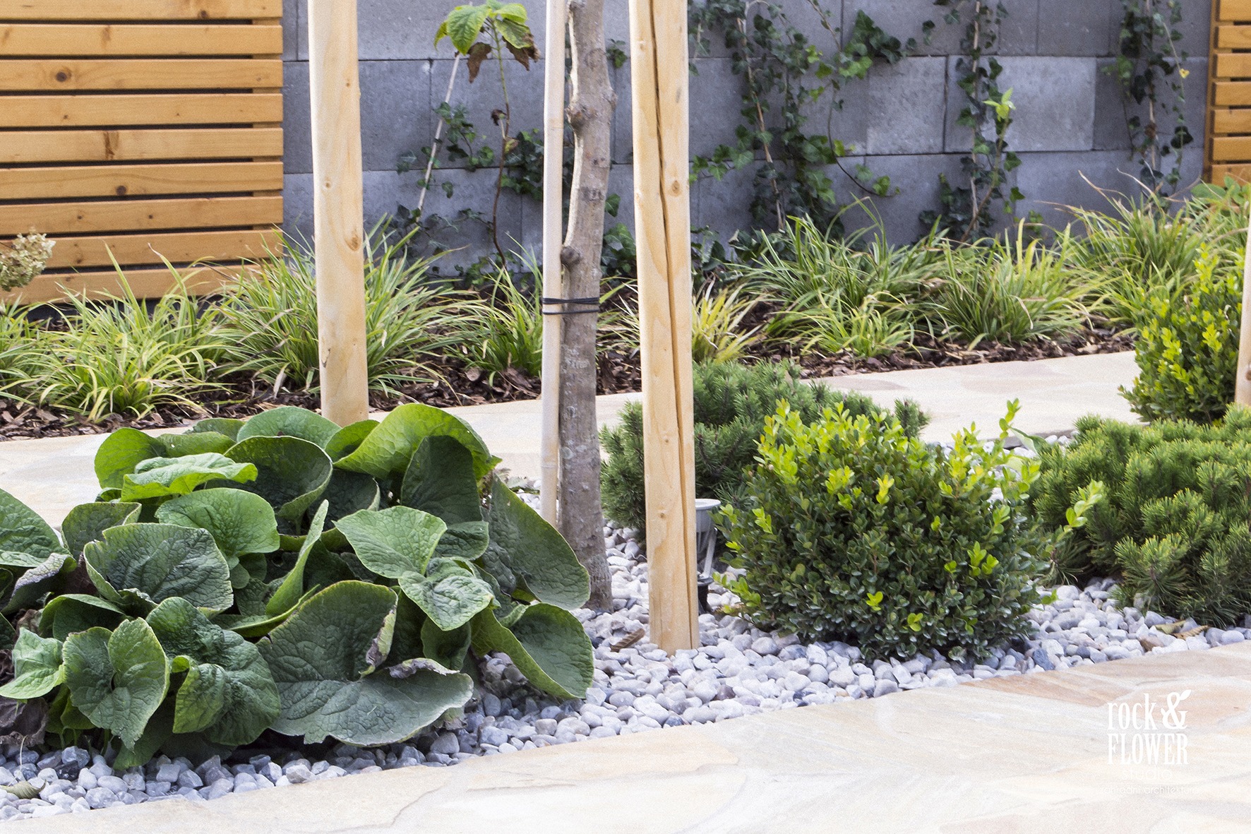 Nowoczesny ogród w Pradze, Rock&Flower studio