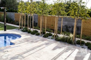 Nowoczesny ogród w Pradze, Rock&Flower studio