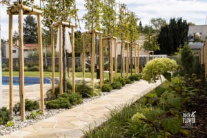 Nowoczesny ogród w Pradze, Rock&Flower studio