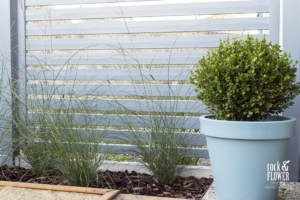 Architekt krajobrazu Poznań - projektownie ogrodów