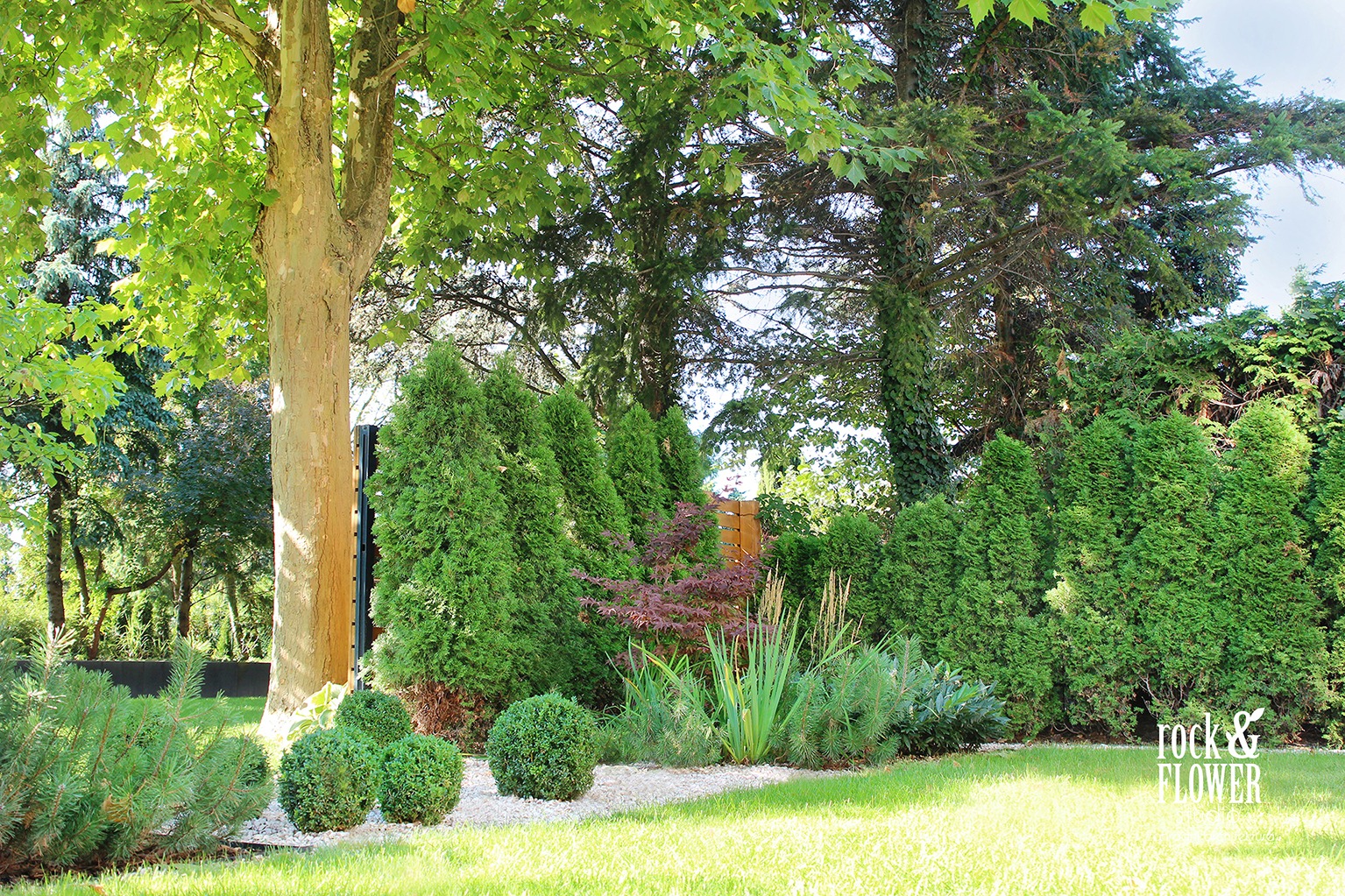 projekt ogrodu z Pergola, nowoczesna pergola, architekt krajobrazu poznań, projektowanie ogrodów