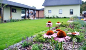 realizacje ogrodów Poznań, ogrody Poznań, Architektura krajobrazu poznań, firma ogrodniczna poznań, gabion poznań (1)