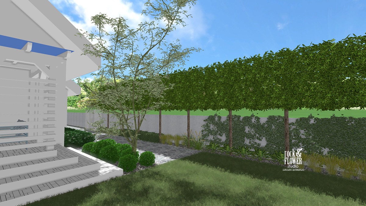 ogród w bieli, nowoczesny ogród, ogród klasyczny, projektowanie ogrodów Poznań, projekty ogrodów Poznań, ogrody Poznań, pracownia architektury krajobrazu (1)