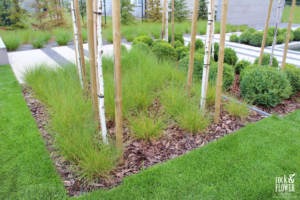 realizacja ogrodu poznań