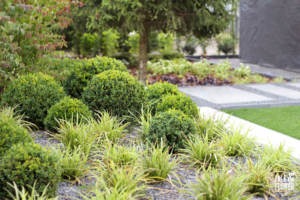 realizacja ogrodu poznań