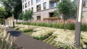 zieleń przy osiedlu mieszkaniowym