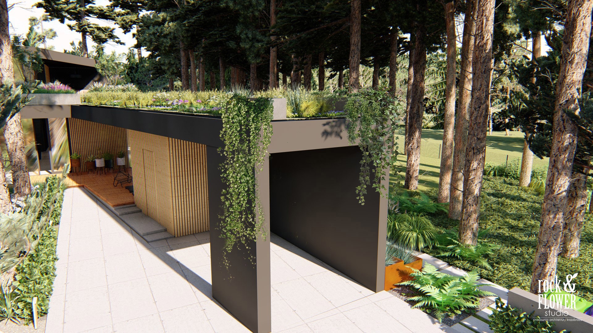 leśny taras na dachu