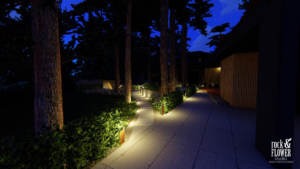 nowoczesny ogród po lasem