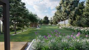 ogród z sosnowym lasem