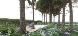 leśny ogród w Stolicy