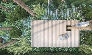 leśny ogród w Stolicy