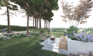 leśny ogród w stolicy