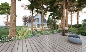 leśny ogró w stolicy