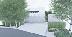 minimalistyczny ogród z trawami