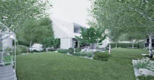 minimalistyczny ogró z trawami