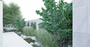 minimalistyczny ogród z trawami